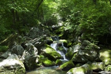 뽐뿌:등산포럼 - 2018년 6월 3일 가리왕산 2018년 6월 3일 가리왕산