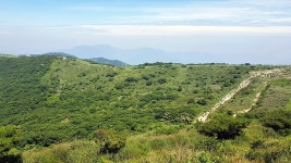 천성산 정찰 - 뽐뿌:등산포럼 천성산 정찰