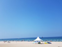 뽐뿌:자유게시판 - 현시간 경포대 해수욕장 현시간 경포대 해수욕장