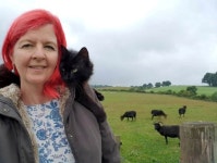 뽐뿌:유머/감동 - 농장에 사는 검은 고양이 농장에 사는 검은 고양이