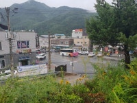 뽐뿌:자유갤러리 - 민둥산역 가게냥.. 민둥산역 가게냥..