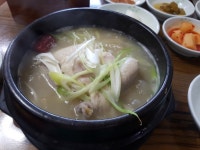 뽐뿌:자유갤러리 - 삼계탕 삼계탕