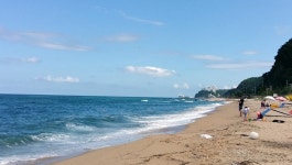 뽐뿌:자유게시판 - 역시 휴가는 동해바다가 최고네요. 역시 휴가는 동해바다가 최고네요.