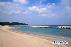 뽐뿌:자유게시판 - 동해바다 해수욕장 하나 추천해 드리고자 합니다. 동해바다 해수욕장 하나 추천해 드리고자 합니다.