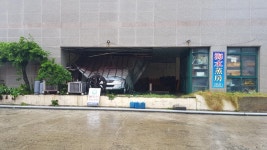 뽐뿌:짤방갤러리 - #제주 솔릭 #제주 솔릭