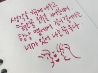 뽐뿌:자유갤러리 - 주말 캘리그라피 세일군과 함께해요^^
