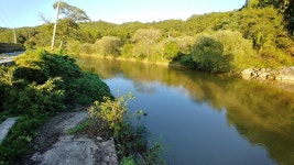 뽐뿌:낚시포럼 - 이런곳도 고기있나여 이런곳도 고기있나여