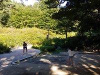 오아 스트로베리...피칭~ 중랑가족숲캠핑장 - 뽐뿌:캠핑포럼 오아 스트로베리...피칭~ 중랑가족숲캠핑장