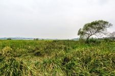 뽐뿌:등산포럼 - 그냥 산책..(18pic) 그냥 산책..(18pic)