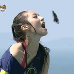 [위메프] 광천 도시락김 16봉 (2,900/무배) - 뽐뿌:뽐뿌게시판 [위메프] 광천 도시락김 16봉 (2,900/무배)