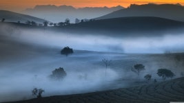 뽐뿌:바탕화면갤러리 - 5120 x 2880 배경화면 5120 x 2880 배경화면