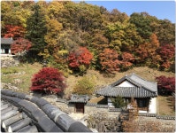 가을 덕유산 산행 후기입니다. - 뽐뿌:등산포럼 가을 덕유산 산행 후기입니다.