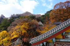 10월 27일 도봉산 단풍산행 사진-사진많음 (망월사역-망월사-포대능선-신선대-마당바위-도봉산역) - 뽐뿌:등산포럼 10월 27일 도봉산 단풍산행... 