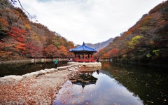 단풍하면 내장산이죠. - 뽐뿌:등산포럼 단풍하면 내장산이죠.