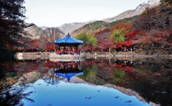 뽐뿌:등산포럼 - 단풍하면 내장산이죠.
