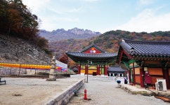 뽐뿌:등산포럼 - 단풍하면 내장산이죠.