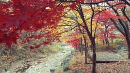 뽐뿌:캠핑포럼 - 또 비슬산휴양림 왔습니다~~^^ 또 비슬산휴양림 왔습니다~~^^