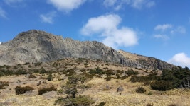 뽐뿌:등산포럼 - 한라산 어리목에서 돈내코 한라산 어리목에서 돈내코