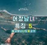 뽐뿌:자유게시판 - 어장관리하는 남녀들의 특징!! 어장관리하는 남녀들의 특징!!