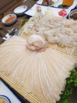 오늘 저녁술은 가자미회 어떤가요? - 뽐뿌:자유갤러리 오늘 저녁술은 가자미회 어떤가요?