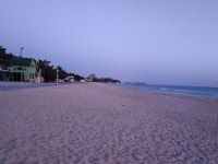 강릉 연곡솔향기 캠핑장 솔캠 - 뽐뿌:캠핑포럼 강릉 연곡솔향기 캠핑장 솔캠