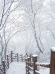 뽐뿌:등산포럼 - 뒷산(석성산) 뒷산(석성산)