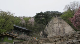 뽐뿌:등산포럼 - 19-04-28 월악산 다녀왔습니다.