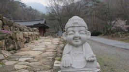 뽐뿌:등산포럼 - 19-04-28 월악산 다녀왔습니다.