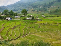 뽐뿌:여행포럼 - 배트남 사파 좋네요.