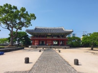 뽐뿌:모바일갤러리 - 제주 관덕정
