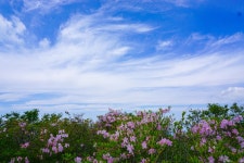 뽐뿌:등산포럼 - 마음의 겨울은 아직 남았습니다