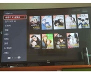 뽐뿌:유머/감동 - 물들어오자 노젓는 올레TV