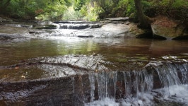 뽐뿌:캠핑포럼 - 캠포님들 이런 계곡은 타프 없어도 괜찮겠죠?
