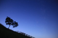 뽐뿌:사진/카메라 - 당포성사진 고수님들의 조언 여쭙니다.