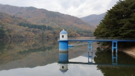 양산 법기수원지_130년 소나무의 모습에 고개숙이다!! - 뽐뿌:여행포럼 양산 법기수원지_130년 소나무의 모습에 고개숙이다!!