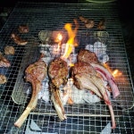 코스트코 양고기 가성비 굳 - 뽐뿌:캠핑포럼 코스트코 양고기 가성비 굳