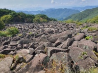 밀양 만어사 - 뽐뿌:자유게시판 밀양 만어사