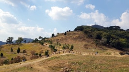 인천 계양산 - 뽐뿌:등산포럼 인천 계양산