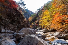 즐거웠던 1박2일 주왕산 산행 -3탄 절골- - 뽐뿌:등산포럼 즐거웠던 1박2일 주왕산 산행 -3탄 절골-