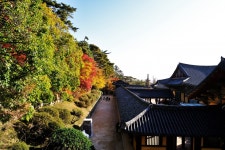 경주 토함산과 불국사 단풍 - 뽐뿌:등산포럼 경주 토함산과 불국사 단풍