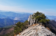 청도 옹강산 - 뽐뿌:등산포럼 청도 옹강산