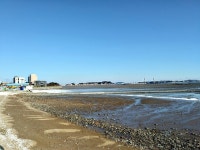 영흥도 동남부 - 뽐뿌:자유갤러리 영흥도 동남부