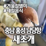 새조개와 겨울 숭어회, 남당항 일대 수산횟집에서 - 뽐뿌:맛집포럼 새조개와 겨울 숭어회, 남당항 일대 수산횟집에서
