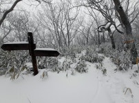 2021.01.30(토) 내리는 눈을 맞으며... 평창 태기산 산행후기 - 뽐뿌:등산포럼 2021.01.30(토) 내리는 눈을 맞으며... 평창 태기산 산행후기