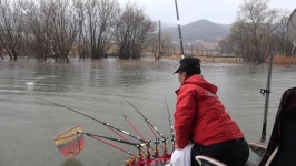 훈풍 부는 안골낚시터 에서! - 뽐뿌:낚시포럼 훈풍 부는 안골낚시터 에서!