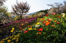 서대문 안산 - 뽐뿌:자유갤러리 서대문 안산