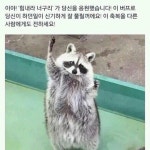 라이브 캔버스 스케치판 [힘내라 너..] 힘내라 너..