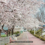 DJ D76R*****의 스푼 CAST - 비가내리고음악이흐르면 | 스푼 Spoon