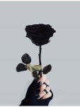 랩) 진지진지 진지충 ㄲㄲ | Spoon