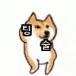 팅술의 프로필 | 스푼 Spoon